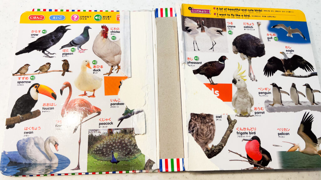 はじめてずかん1000のレビュー｜2歳に人気のタッチペン図鑑