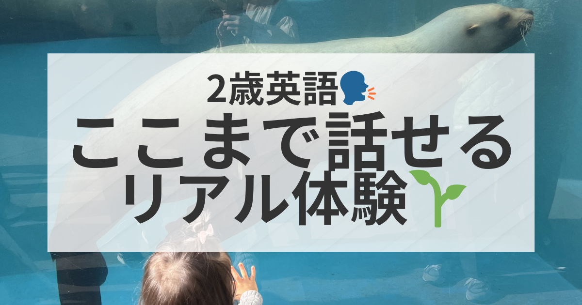 2歳の英語スピーキングレベル 我が家の体験