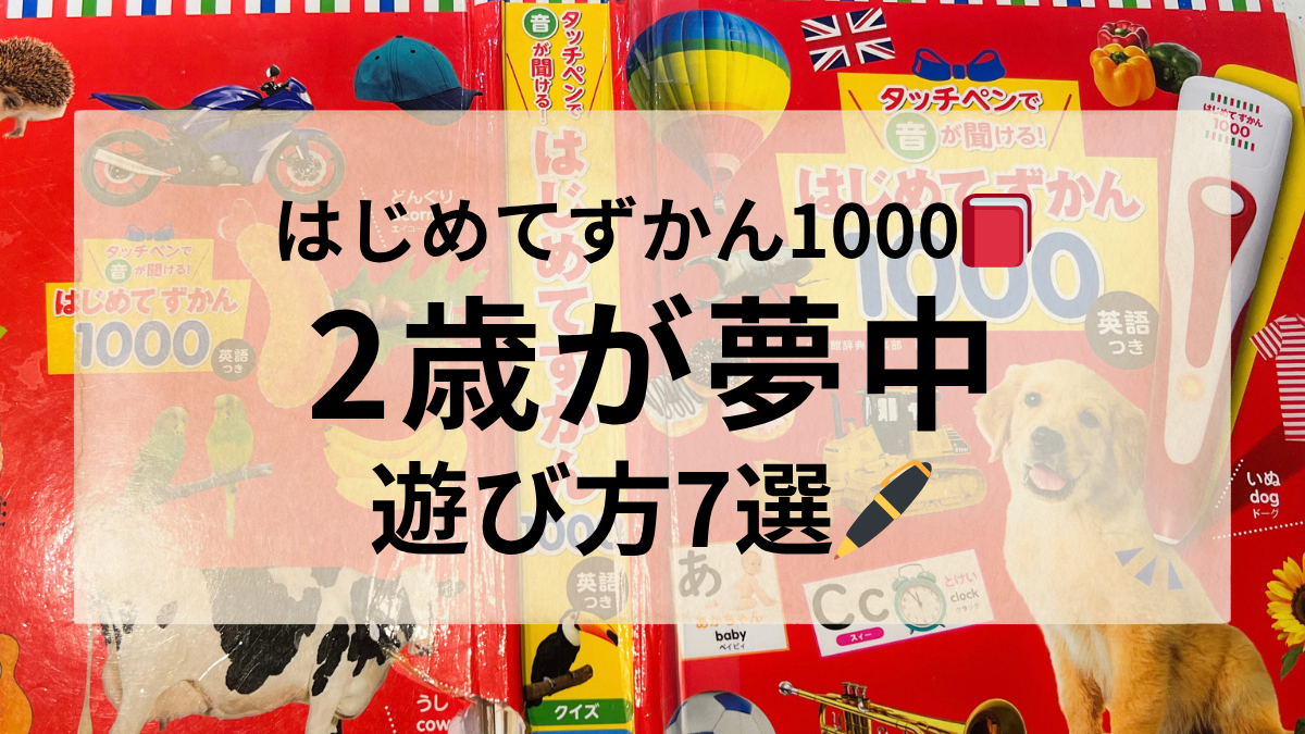 はじめてずかん1000遊び方7選｜2歳が夢中になる知育の使い方